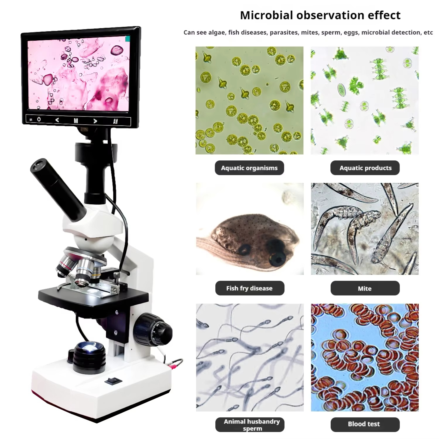 Top Selling HD Screen Digital  – обзор и цена Digital Microscope