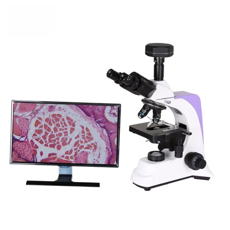 2026 Medical Lab Digital Biolo – обзор и цена Medical Laboratory Scientist